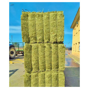 Heno de Alfalfa para Alimentación Animal, Heno de Alfalfa/Pellets de Heno de Alfalfa, Heno de Timothy/Alfalfa en Pacas, la Mejor Calidad Superior - Product Image 4