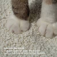 Litière pour chat en manioc, forte absorption, contrôle des odeurs, faible dispersion, parfum personnalisé, marque privée