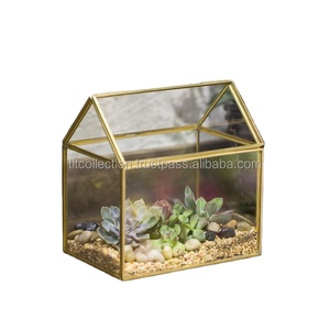 High Quality Indoor <b>Plant</b> Metal <b>Frame</b> Geometric Glass Terrarium - Product Image 2