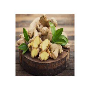 <b>Fresh</b> <b>Ginger</b> Root Export Grade <b>Fresh</b> Harvest <b>Ginger</b> for Cooking and Food Industries - Product Image 3