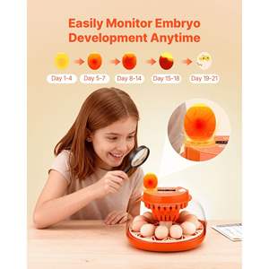 Incubateur automatique à 12 œufs avec contrôle de la température et de l'humidité, fenêtre transparente à 360°, modèle pour l'éclosion de poussins/canards à la maison ou à la ferme - Product Image 5