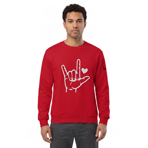 Sweat à capuche pour garçons en molleton français lavé aux enzymes avec broderie 3D et appliqué - Product Image 1