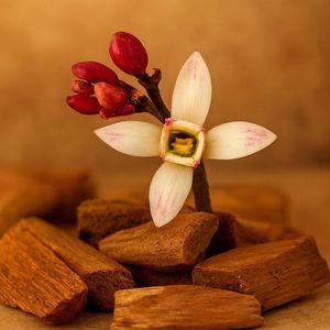 ALOURA OILS OUD ROSE Attar Oil - Source de chaleur infusée aux fleurs et à l'eau pour la parfumerie et l'aromathérapie Uttar Pradesh - Product Image 5
