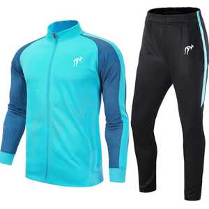 Ensembles de survêtements de sport d'été et d'automne de haute qualité, pull oversize ample, survêtements de jogging, ensembles de sweat-shirts à capuche et pantalons de jogging vierges - Product Image 5