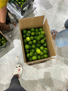 Limones frescos sin semillas de Vietnam tamaño S M L limpio y jugoso ideal para exportación al por mayor y uso de comercio internacional - Product Image 4