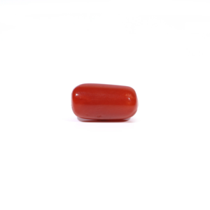 Natural Red Coral Loose Gemstone 3.77 Carat Certified Wholesale Raw - Product Image 1