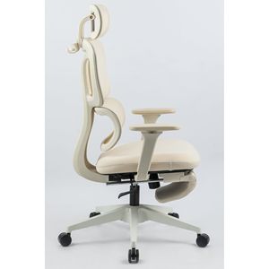 Sedia da Ufficio Ergonomica con Schienale Alto, Supporto Lombare Dinamico, Poggiatesta 2D, Braccioli 2D e Poggiapiedi - Product Image 3