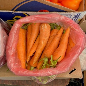 Nouvelle récolte de légumes biologiques frais en gros : Carottes rouges en vrac pour l'exportation depuis le Royaume-Uni - Product Image 3