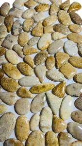 Cabochon de corail fossile agaté naturel, motif rare, pierre précieuse en vrac pour la fabrication de pendentifs, bagues et bijoux, lot de pierres à prix de gros - Product Image 2