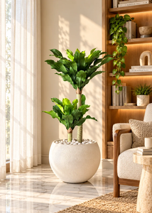 Jardinières hautes en fer écologiques de qualité supérieure avec finition thermolaquée pour la décoration d'entrée, de patio et de jardin - Product Image 5