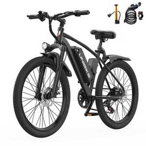 どんな地形も制覇。プレミアムな中国から自転車を輸入する性能。