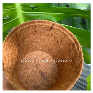Maceta de Fibra de Coco 100% Natural Biodegradable con Orificio de Drenaje, Autorriego, Ligera, Duradera y Ecológica para Hogar y Jardín - Product Image 3
