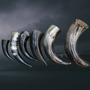 Polished Viking <b>Drinking</b> <b>Horn</b> - Authentic Ox <b>Horn</b> Mead Cup for Medieval Feasts & Reenactments - Product Image 2
