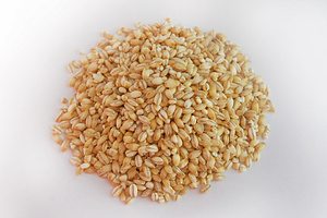 Aliments pour animaux en gros : Orge naturelle biologique de première qualité, ensachée en sacs de 50 kg, graines d'orge, céréale saine et de haute qualité - Product Image 1