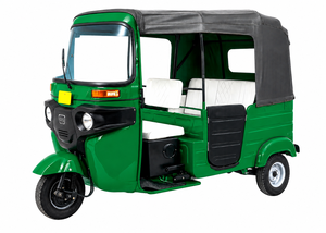 GOFOGO de Tres Ruedas de Alta Calidad Hecho en India en Venta - Product Image 2