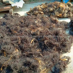 Elegancia ecuestre exclusiva: pelos de cola principal de caballo de búfalo a precios muy asequibles por M. R. S. EXPORTACIONES - Product Image 2