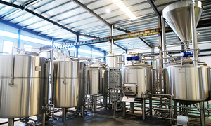 Tanque de Almacenamiento de Acero Inoxidable para Microcervecería de 10BBL, Recipiente a Presión para Fermentación y Producción de Cerveza con Dimensiones Personalizables - Product Image 2