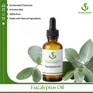 Premium Eucalyptus Oil for Professional Fragrance Houses Cosmetic Brands Personal Care Companies and Commercial Product - Product Image 1