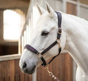 Luxury <b>Black</b> Leather Horse Halter Crystal Rhinestone Patent Noseband & <b>Rose</b> Gold Fitting Wholesale English Tack Manufacturer - Product Image 5