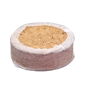 Indian Suppliers of Coconut <b>Coir</b> <b>Blocks</b> Premium Quality Plugs - Product Image 3