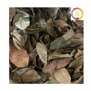 ชาสมุนไพรธรรมชาติ | ใบกริโอลาออร์แกนิกขายส่งจำนวนมากจากเวียดนาม - Product Image 1