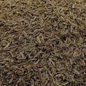 เมล็ดยี่หร่าคุณภาพพรีเมียมความบริสุทธิ์99% เครื่องเทศและสมุนไพรชนิดเดี่ยวจัดจำหน่ายแบบขายส่งส่งออกกลิ่นหอมอันเป็นธรรมชาติหนักแน่นคล้ายดินได้รับการยอมรับในระดับมาตรฐาน - Product Image 5