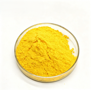 Poudre de citrouille pour applications en boulangerie et en boissons, poudre de citrouille de qualité alimentaire apportant une saveur pratique aux recettes culinaires - Product Image 1