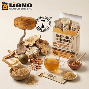 ผงสกัดบริสุทธิ์จากเห็ดนมเสือ LiGNO TM02 เครื่องดื่มอาหารเช้าเพื่อสุขภาพ ผสมผสานอย่างลงตัว ได้รับการรับรองฮาลาลและโคเชอร์ เกรดอาหารเพื่อสุขภาพ - Product Image 1