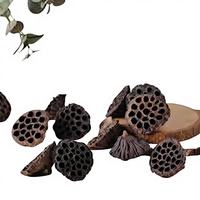 1 Tête de fleur séchée naturelle de couleur originale, en forme de tête de lotus, longue durée, pour remise de diplôme, Noël, Fête des Mères