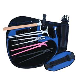 Kit d'outils de ferrage pour chevaux avec écarteur de sabots, marteau à clous, tablier en cuir rose, pince à clous et pince à crocodiles - Product Image 1
