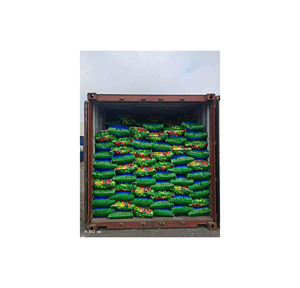 Amino Humic para Sistemas de Agricultura Orgánica, Polvo Amino Humico Premium para el Acondicionamiento del Suelo - Product Image 5
