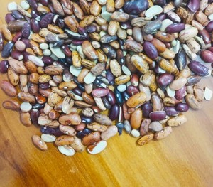 Frijoles Rojos Premium (Rajma) |   Frijoles secos |   Proveedor y Exportador a Granel de la India - Product Image 3