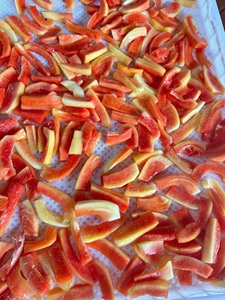 Papaya Seca Suave de Vietnam, Rebanadas de Fruta Tropical Dulce Natural, Venta al Por Mayor a Granel, Bajo MOQ, Mejor Precio - Sra. Tarina - Product Image 4