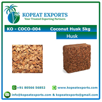 Cocopeat Coco Chips Triple Lavées pour Usage Hydroponique, Blocs Emballés sur Palette, Fabricant de Marque Renommée, 100% Vente Chaude, Prix de Gros