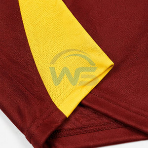 Uniforme de Equipo a Bajo Precio, 100% Poliéster, Nuevo Uniforme de Cricket Personalizado, Jersey de Cricket con el Último Diseño - Product Image 5