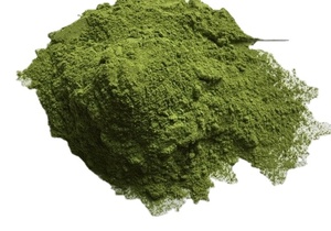 Polvo de Brócoli de Alta Calidad – Puro, Natural y Seguro para el Consumo // Mr.Tom - Product Image 4