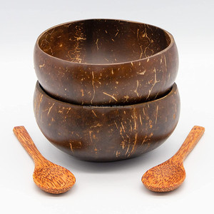 Eco2go Organic Coconut Shell Bowl Wholesale Biodegradable Eco Friendly Handmade Polished OEM Custom Logo Set - Product Image 4