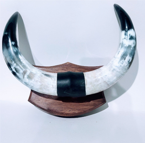 Buffalo <b>Decorative</b> Horn Acacia Wood Stand Design Wall Mounted Buffalo <b>Decorative</b> Horn At Affordable Price - Product Image 1