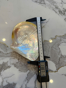 ถาดเปลือกหอยมุกขัดเงา งานฝีมือ จานเปลือกหอยธรรมชาติ จานใส่ไข่ปลาคาเวียร์สุดหรู ของที่ระลึก ของขวัญ ขายส่ง ราคาพิเศษ - Product Image 3