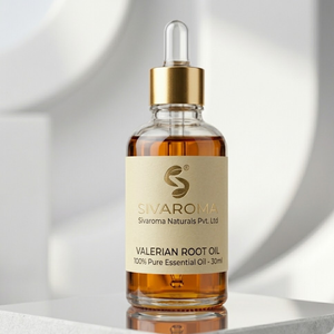 Huile Essentielle de Racine de Valériane de Qualité Supérieure pour les Acheteurs B2B, Idéale pour les Mélanges Cosmétiques et le Développement de Produits Aromatiques - Product Image 1