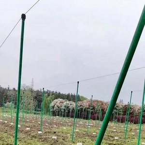 FRP Tube Column Agricultural Passion Fruit Planting Windproof Fiberglass <b>Pole</b> - Product Image 1