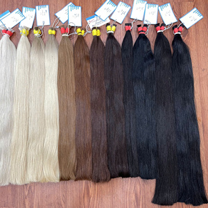 Wholesale Top Selling Raw Vietnamese Colored Bulk Human <b>Hair</b> Extensions Double Drawn Virgin <b>Hair</b> for <b>Braiding</b> <b>Soft</b> <b>Silky</b> Cuticle - Product Image 5