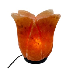 Lampe de sel en forme de rose de l'Himalaya Sian Enterprises, sculptée à la main, matériau organique, écologique, Feng Shui, lumière chaude - Product Image 1