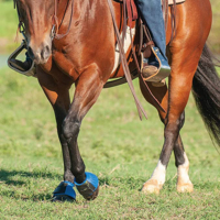 Nouvelles Bottes de Cheval à Clochettes de Dernière Génération, Conçues sur Mesure avec Logo, Respirantes et de Haute Qualité