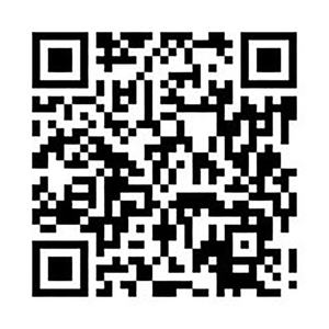 Power Chip <b>Resistor</b> - Product Image 3