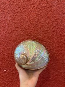 กล่องเก็บเครื่องประดับหรูหราจากเปลือกหอยมุกพร้อมพื้นผิวเปลือกหอยสีรุ้ง ของขวัญจากเวียดนาม - Product Image 2