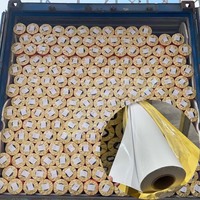 Rouleau de bannière PVC Flex de 3,2 m de large (126 pouces, 10 pieds), 440 g, impression numérique sur PVC, bannière PVC Flex frontlit