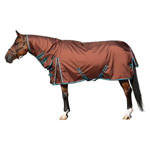 Mantas Impermeables Premium Personalizadas para Caballos con Logotipo Bordado, Mantas Anti-Moscas Equinas, Alfombras Nuevas Personalizadas para Caballos - Product Image 2