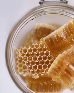 รวงผึ้งคุณภาพสูง – ธรรมชาติ 100% และสดใหม่ - ผลิตจากเวียดนาม - Product Image 2