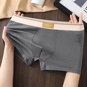 Calzoncillos Bóxer de Algodón para Hombre, Corte Medio, Antibacterianos y Transpirables, Shorts de Verano con Logotipo en la Cintura, Tejido de Punto Juvenil - Product Image 3